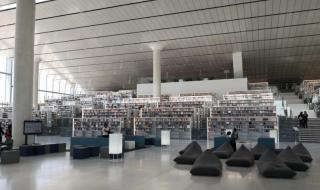 Уникалната библиотека на Доха (СНИМКИ)