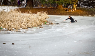 Деца спасиха куче в Южния парк