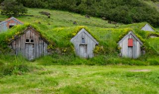 Защо по покривите на скандинавските къщи расте трева?