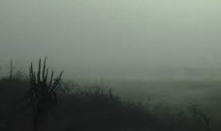 Мъглива неделя край Дунав и в Северозапада