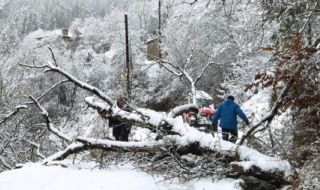 Пет общини в Югозапада още бедстват, 80% от населените места в Смолянско са без ток