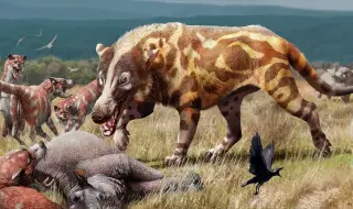 Човекът унищожил най-големите бозайници през последните 50 хиляди години