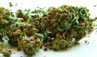 Имаш поща... 5 килограма марихуана