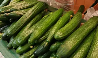 Гръцки краставици се препакетират у нас и пристигат до потребителите като български