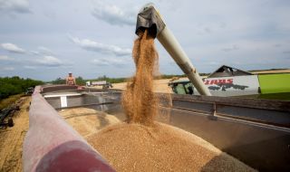 Украйна с нови надежди за износа на зърно