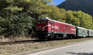 Младеж написа книга за единствената действаща тесноликейка