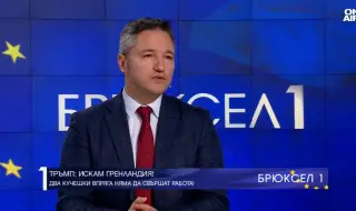 Вигенин: По казуса „Гренландия“ разумът и диалогът трябва да надделеят