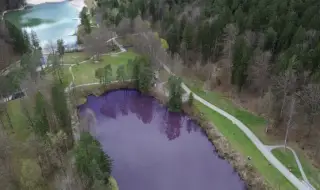 Езеро в Германия се оцвети в лилаво (ВИДЕО)