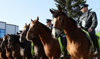 Полицията показа конния си отряд