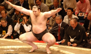 Котоошу започва участието си в Осака