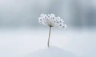 Времето днес, прогноза за понеделник, 22 декември: Остава предимно облачно и мъгливо, дъждове на югоизток