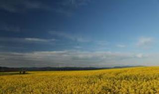 Слънчево начало на седмицата