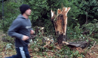 Ураганен вятър бушува във Варна