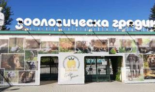 Зоопаркът в София отваря утре