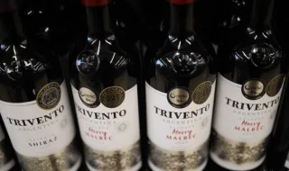 Wine worth 5 million euros stolen from a winery in Tuscany