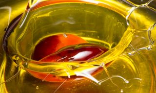 Наш професор с шокиращи думи за палмовото масло