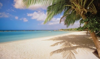 Ваканциите повишават качеството на секса