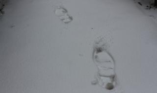 Откриха премръзнал мъж, прекарал денонощие в гората