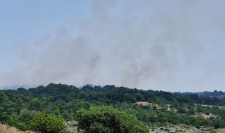 Стотици изгорели декари земя в Източните Родопи