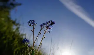 Weather today, forecast for Tuesday, April 28: Sunny, short-term precipitation in the mountainous areas 