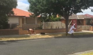 Бягай! (ВИДЕО)