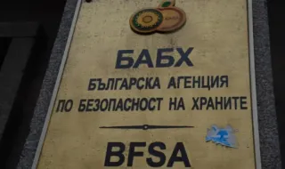 Огнище на птичи грип е установено край Стара Загора