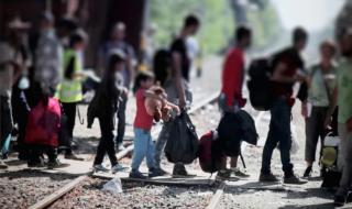 Румъния разби канал за трафик на мигранти през България