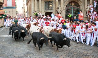 Природозащитници се опълчиха против надбягването с бикове