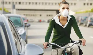 The person or the car – who pollutes more? The truth will surprise you! 