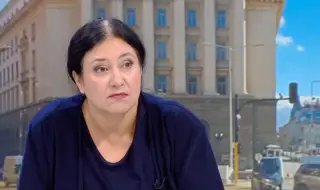Ивилина Алексиева: Ако няма алтернатива на машинното гласуване, ще има още по-ниска избирателна активност