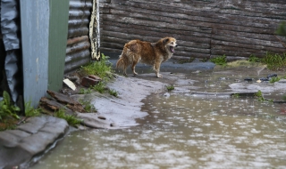 Наводнения отнеха 7 човешки живота в Румъния