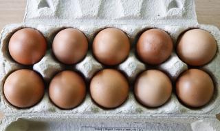 Заразени с фипронил яйца са открити в 15 страни от ЕС (СНИМКИ)