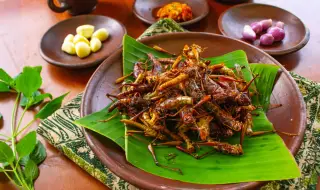 Копринени буби за обяд? Сингапур одобри насекомите като храна 