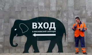 Московските музеи и зоологическата градина с жест към пострадалите от атентата
