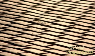 Спасяването на жълтите павета