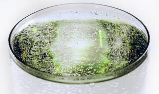 Газираната вода ще съсипе зъбите ви