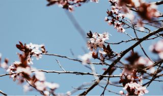 Прогноза за времето днес, 20 февруари: Силен вятър и понижение на температурите