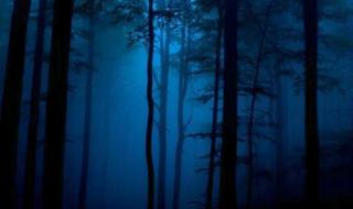 Спасиха американка и германка в Рила