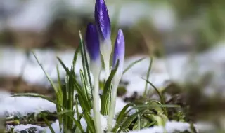 Weather today, forecast for Wednesday, February 26: Cloudy over Western Bulgaria, sunny over Eastern 