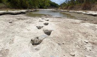 Динозавърски стъпки отпреди 113 млн. години се появиха в пресъхнала река (СНИМКИ)