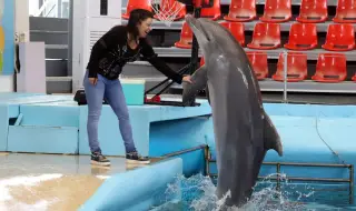 Дефинариумът във Варна с безплатни представления за деца