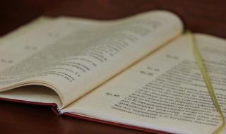 Съюзът на юристите: Оттеглете проекта за нова Конституция!