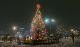 Запалват светлините на софийската Коледна елха