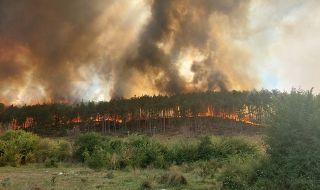 Сезонът на жегата! 170 пожара са ликвидирани на територията на страната през последното денонощие