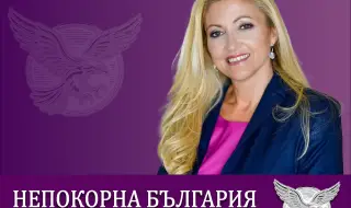 Мая Александрова: "Проблемът на Манолова не е принципен, а личен, кариеристичен!