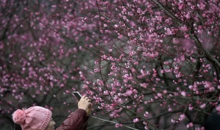 31 януари: Светът в снимки