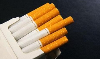 Откриха 600 000 къса контрабандни цигари в ТИР
