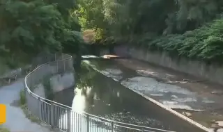 Кафява вода и миризма от река в центъра на София