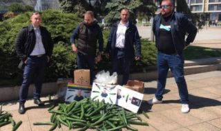 Изсипаха 100 кг краставици като протест срещу гей парад в Бургас 