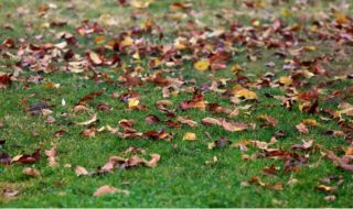 Времето днес, прогноза за сряда, 18 октомври: Облаците намаляват до слънчево